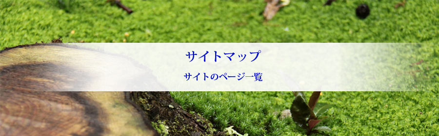 株式会社アイデックス